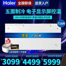 海尔冰柜商用大容量500升以上带锁大冰柜节能卧式冷藏柜冷冻柜转换单箱茶叶冰柜冷柜单温大冷柜 719升/可冻1000斤肉