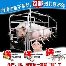 落地式母猪产床定位栏限位栏简易产床单个猪位一个栏位养猪设备 国标2.5热镀锌栏位(60宽度)