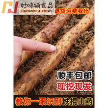 正宗河南焦作温县垆土铁杆淮山药铁桂怀山药5斤特产铁棍山药新鲜