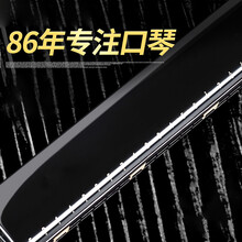 口琴国光24/28孔复音重音c调宽音域口琴初学者入门学生专业演奏级TX 24孔复音流光银【复音】