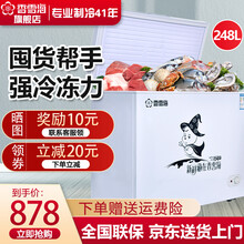 香雪海 家用迷你小冷柜 冷藏冷冻小冷柜  小冰柜 BD/BC-248A