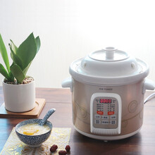 天际（TONZE）电炖锅快炖 家用全自动2/3/4/5升电炖盅煲汤锅 炖汤锅 煮粥锅 陶瓷内胆cwd 4升容量 DGD40-40CWD