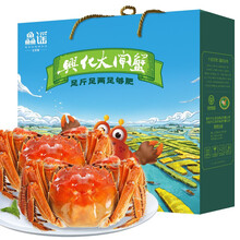 【活蟹】兴化大闸蟹 生鲜活鲜活螃蟹河蟹鲜活 现货 六月黄大闸蟹1.7-2.1两 8只装