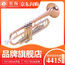 【工厂旗舰店】星海 小号乐器 专业演奏考级小号降B调成人儿童乐器 磷铜/黄铜/白铜三合一 加谱架款