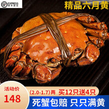 【活蟹】四合鲜 六月黄 大闸蟹螃蟹鲜活公母蟹现货河蟹大螃蟹 礼盒 六月黄2.0-1.7两 12只送4只