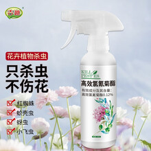 吉越 花卉杀虫剂家用室内除虫剂植物花草绿植多肉通用盆栽月季土壤蚧壳虫小飞虫蚜虫红蜘蛛专用药杀虫喷雾剂