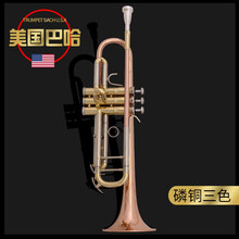全新BACH巴哈小号乐器美国190S-37降Bb调初学 考级 演奏耐磨儿童初学男女生演奏定制款 磷铜三色190S37