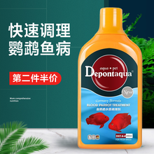 大禹德邦 鱼药 血鹦鹉调理剂 烂肉烂身烂鳍白点烂尾发白水鱼病调理治疗剂 血鹦鹉水质调理剂 700ml
