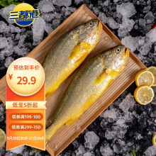 三都港 冷冻宁德大黄鱼700g 2条装 黄花鱼 生鲜 鱼类 深海鱼 海鲜水产