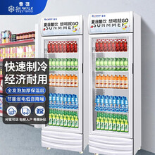 【雪花官方店】雪花商用冰柜冰箱展示柜保鲜柜立式冷藏柜商用冷藏展示柜饮料柜冷柜 单门展示柜（风直冷款）