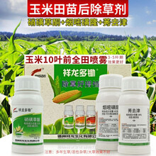 玉米田苗后除草剂烂根剂烟嘧磺隆 硝磺草酮 莠去津玉米苞米地农药除草剂 230克