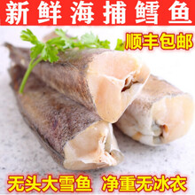 鳕鱼新鲜冷冻无头鱼狭鳕鱼去头明太鱼大棒鱼柴鱼海鲜水产深海鳕鱼 普米加罗 十斤酒店专用装