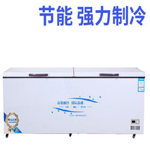 商用冷柜冰柜超大容量卧式节能冷冻冷藏单温冻肉家用冷柜 718双温1950×700×830mm