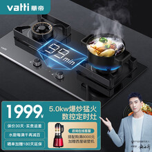 华帝（VATTI）燃气灶 5.0kw大火力 定时煤气灶 煤气炉双灶 嵌入式台式 i10057B 液化气