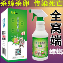 2021新品德国小蠊  专杀小蠊凯洁杀蟑螂悬浮剂除家用强力灭无宿舍饭店药毒神器