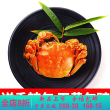 【活鲜】大闸蟹特大螃蟹六月黄礼盒鲜活现货3.5-1.5两 莫尔加德 (2.0-1.5两)16只