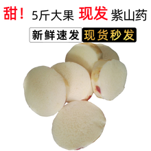 脚板薯紫山药毛薯淮山农家现挖粉软糯大薯新鲜蔬菜土特产一份 【3斤装】农家大薯