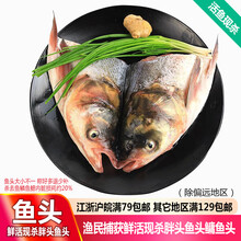 品鲜肴 淡水鱼头 生态花鲢鱼头/胖头鱼头/鳙鱼头 渔民现捕鲜活现杀生鲜水产 约1.5kg（净膛前）现杀1只3斤