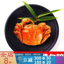 【活鲜】鲜活大闸蟹特大母蟹现货六月黄海鲜水产河蟹礼盒装3.5-1.5两 塔布莫特 分享款(2.5-2.0两)16只