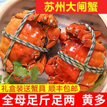 【活蟹】神行大闸蟹现货 全母蟹 大蟹 鲜活螃蟹 六月黄大闸蟹现货鲜活香辣蟹河蟹 生鲜水产礼盒装 全母蟹2.0-2.3两 18只装