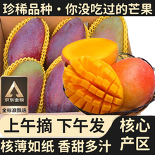 骑猴赶马广西贵妃芒当季新鲜热带水果送礼盒孕妇红金龙百色整箱甜心大芒果 净重4.5斤【单果150-200g】 团购/售后详询客服