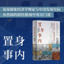 置身事内：中国政府与经济发展  兰小欢 著  世纪文景