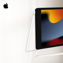 ipad pencil二代- 商品搜索- 京东