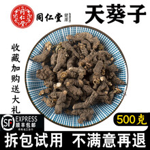 北京同仁堂天葵子 500g 中药材 新货野生 紫背天葵子 千年老鼠屎 天葵子100克