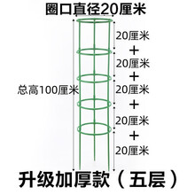 易美锦花架子室内家用爬藤架火龙果月季蟹爪兰绿萝太阳花植物爬藤支撑杆 五层口径27厘米高1米 20支 中等