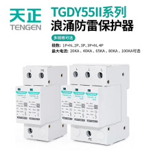 天正电气 TGDY55II-40 20kA/40kA 420V 2P 338020100224
电涌保护器