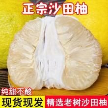 梦茜儿 MEXEMINA顺丰 梅州沙田柚 20斤白心柚子甜蜜正宗梅县老树新鲜水果特产金柚 9-9.5斤 4-6枚 爆甜无酸 当天现摘 产地直发