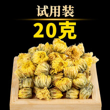 菊花茶胎菊王四季茶正宗胎菊桐乡杭白菊菊花茶 胎菊王【试用装】