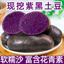 颜曼箐紫土豆黑土豆黑金刚新鲜紫色洋芋马铃薯黑美人迷你小土豆蔬菜 500g 优选精品果