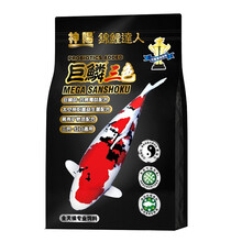 神阳 锦鲤鱼粮  增色增体专业鱼食观赏鱼红鲤鱼金鱼鱼饲料 巨鳞红白大包10kg 2kg小粒 巨鳞三色 1kg S 小粒