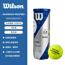 威尔胜WR8208802001上海大师赛网球折扣多少合适