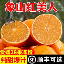 正宗象山红美人柑橘新鲜10斤当季薄皮孕妇水果桔子爱媛28号果冻橙 5斤 中果
