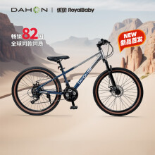 大行（DAHON）自行车26英寸21速前后双碟刹青少年运动山地车飞驰 银峰蓝 26英寸