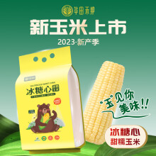 华田禾邦 长白山冰糖心甜糯玉米2.6kg 东北大棒新鲜甜黏玉米