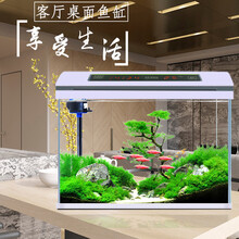 宝贝故事 超白鱼缸水族箱 生态鱼缸客厅鱼缸中小型懒人鱼缸免换水鱼缸创意七彩灯桌面鱼缸小 100*39*60cm标配