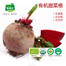 有机汇 有机甜菜根 红菜头 新鲜榨汁蔬菜 中国有机认证 农场现采 500g