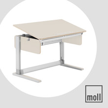 【高端预定】德国摩尔moll T5儿童学习桌成人书 家用学生作业写字桌（货期90天）