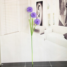 高枝 高头大葱球  家居饰品高卉装饰 紫罗兰