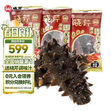 晓芹 大连冷冻即食海参 辽刺参 海鲜水产 固形物含量≥75% 1000g 30-40只 2斤简装