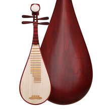 江音（Jiangyin） 江音6901硬木儿童琵琶初学练习演奏民族弹拨乐器 6901硬木儿童琵琶