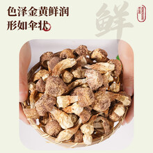 农相忘姬松茸200g当季松茸巴西菇菌菇南北干货火锅食材姬松茸菌蘑菇煲汤
