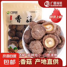 【京东快递】卢氏精选香菇菇肉肥厚菇香浓郁50-250g 香菇100g