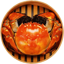 【活蟹】六月黄大闸蟹新鲜活螃蟹生鲜蟹类礼盒装苏州大闸蟹全母可选 六月黄(1.1-1.4两 )20只