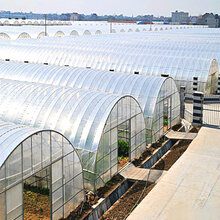 清水上苑 625/825型大棚骨架蔬菜大棚温室钢架大棚热镀锌钢管养殖多肉大棚 8*40米标配含膜