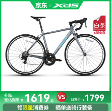喜德盛（xds）【吴磊推荐】公路车RC200标准版14速变速 深灰/镭射银 700C*480