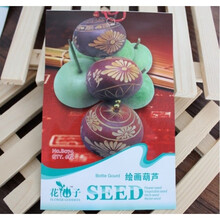 八宝葫芦娃迷你手捻葫芦种子特大葫芦食用西葫芦种子瓠子种子 绘画葫芦5粒